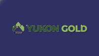 Yukon gold